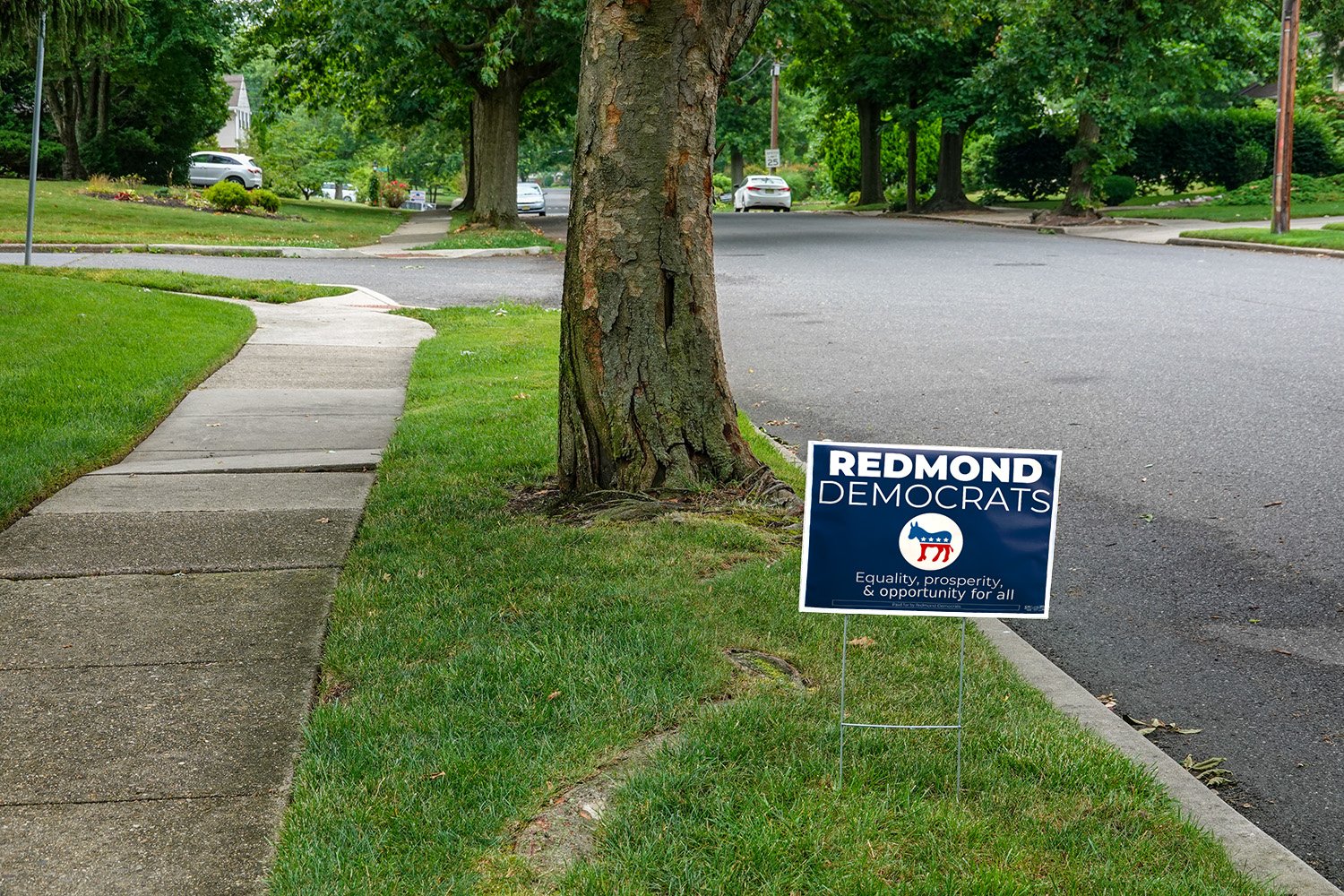 Yard sign on side of residential street